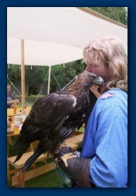 Der Falkner und sein neuer Gefährte