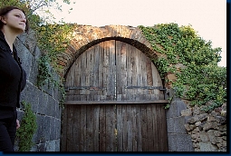 Das Burgtor mit der Burgwächterin