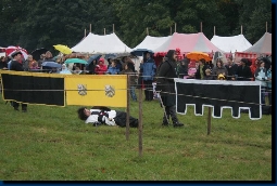 Unser Ortwin in der Schlacht